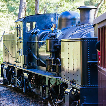 Puffing Billy Private Day Tour
